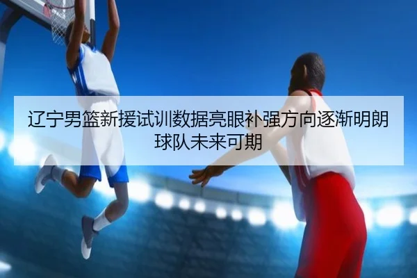 辽宁男篮新援试训数据亮眼补强方向逐渐明朗球队未来可期