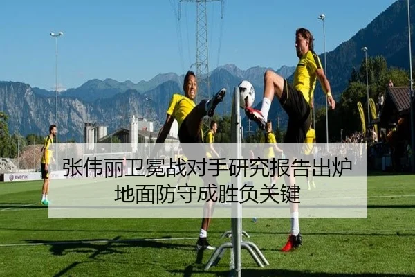 张伟丽卫冕战对手研究报告出炉 地面防守成胜负关键